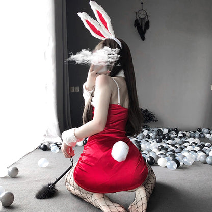 Bedroom Bunny